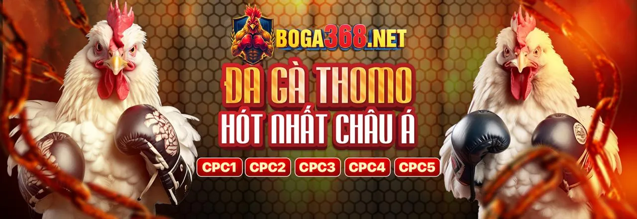 Các tính năng chính của ứng dụng fly88h nhà cái